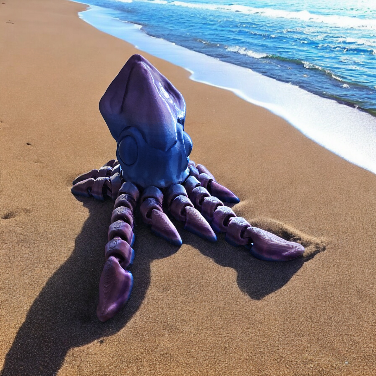 Squid