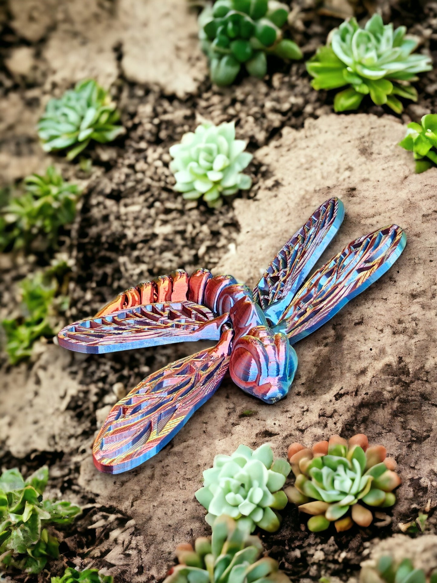 Dragonfly