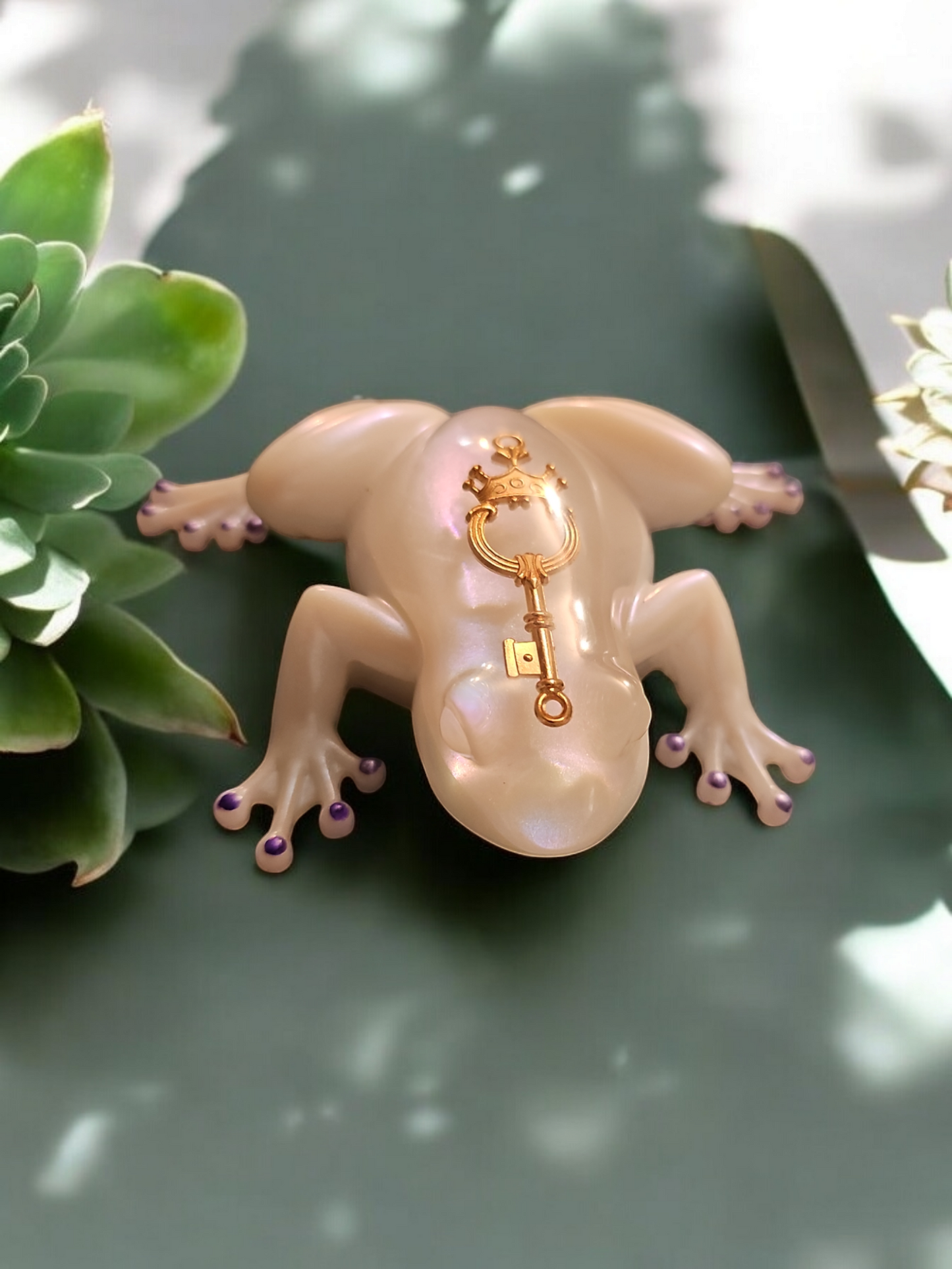Frog