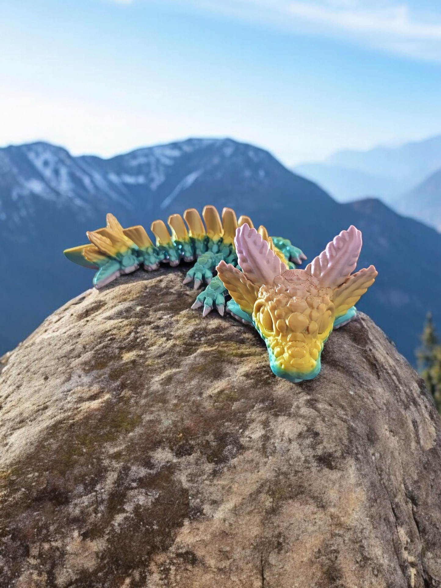 Baby Axolotl Dragon
