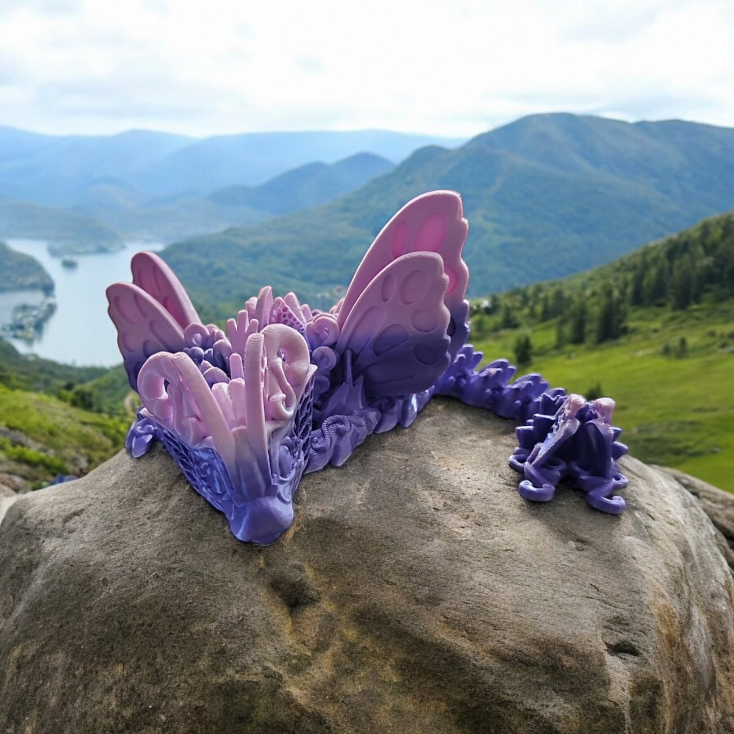 Butterfly Dragon