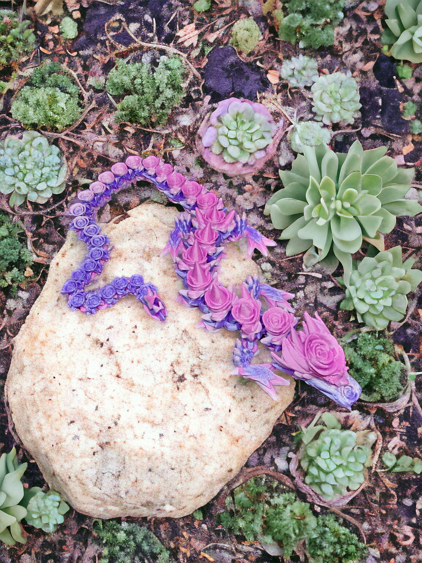 Rose Dragon