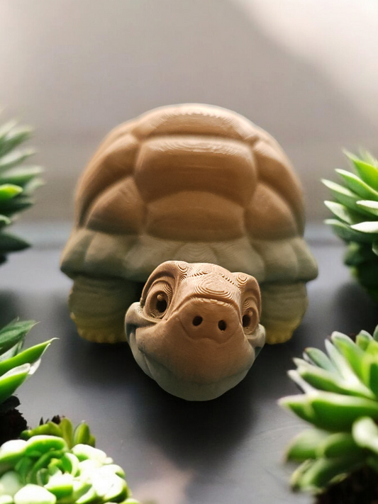 Turtle